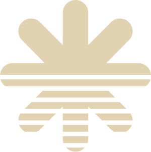 Главная Главная